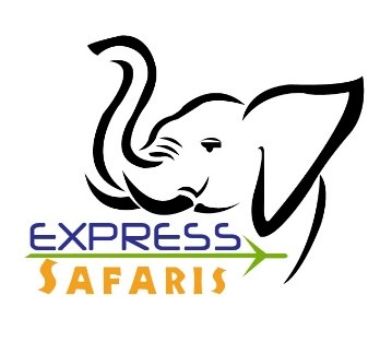 EXPRESS SAFARIS