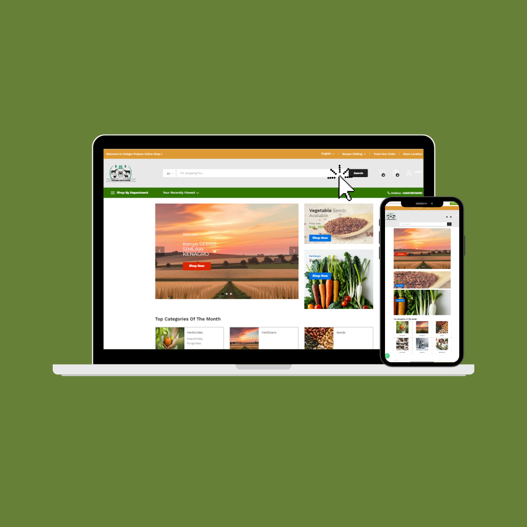 Website Development Services